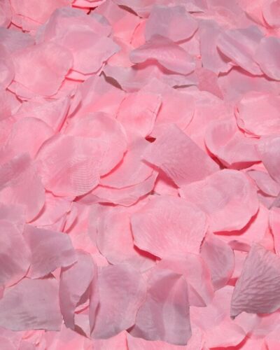 Diablo Picante - 100 Pink Petals