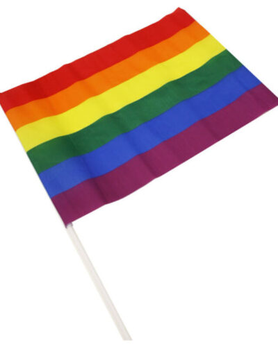 Pride - Lgbt Flag Medium Pennant