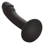 Calexotics - Curved Anal Stud