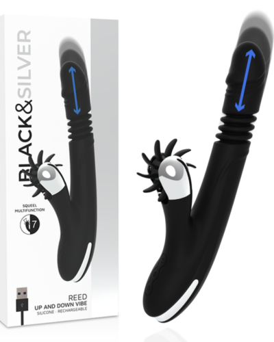Blacksilver - Bunny Reed Up  Down Vibe