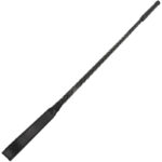 Darkness - Fetish Whip Black BDSM Fine