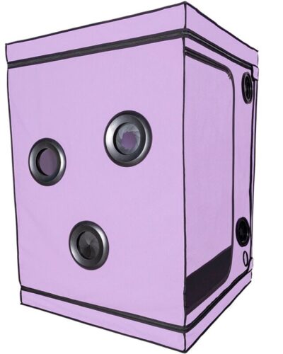 Secret Dome - Kink Club Cabin Scandale Purple