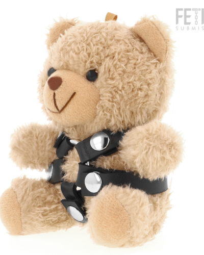 Fetish Submissive - Bongo Teddy Bear BDSM Model 4