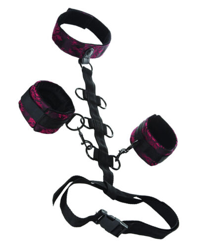 Calexotics - Scandal Comporal Support With Neck