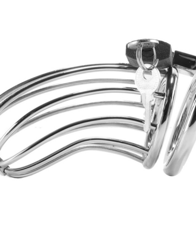 Metal Hard - Bird Chastity Ring Cage